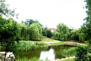 квартира за адресою Слави Стецько вул., 7а