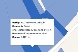 комерційна за адресою с. Липовець, Миру, 48
