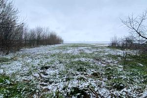 участок по адресу пгт. Кожанка, Новоселецька