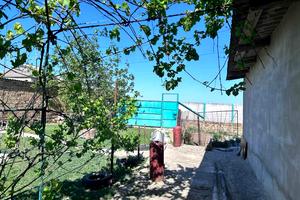 дом по адресу с. Василевка, Кирова