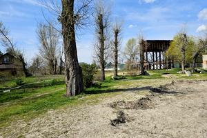 участок по адресу Ізумруд садове товариство, 407