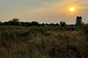 ділянка за адресою Вишнева