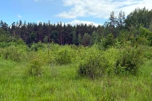 участок по адресу с. Козинцы, 