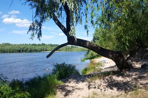 ділянка за адресою с. Зазим'я, Садова вул.