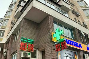 комерційна за адресою Левка Лук'яненка вул. (Маршала Тимошенка), 29