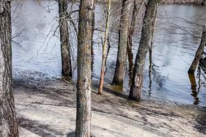 будинок за адресою с. Осещина, Центральна