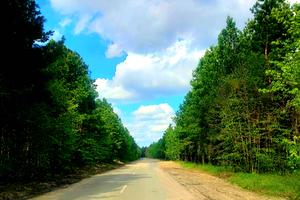 ділянка за адресою Панаса Мирного