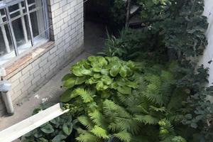 дом по адресу вулиця Мошногірська, 7
