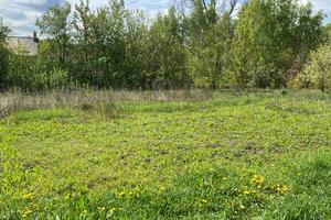 ділянка за адресою Волошкова