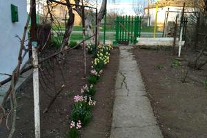 дом по адресу Центральна