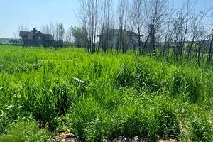 ділянка за адресою Виноградна вул., 27