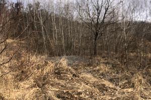 ділянка за адресою Іршавська