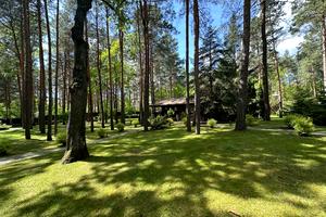 участок по адресу Лесная ул., 34