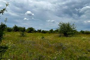 ділянка за адресою с. Микуличі, 