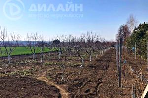 комерційна за адресою Чапаева, 47