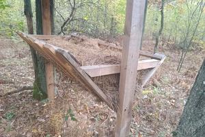 будинок за адресою Соснова