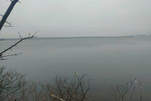 будинок за адресою СТ ПРИБУЖЖЯ, 163