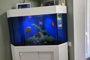 комерційна за адресою Чорнобильська вул., 18