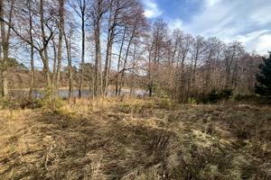 ділянка за адресою Вільхова