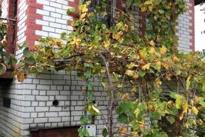будинок за адресою киевская, 1