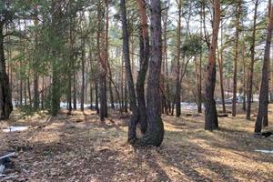 ділянка за адресою Озерна вул., 33