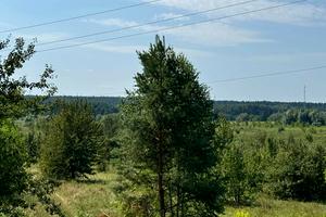 ділянка за адресою Віталія Васільцева, 1