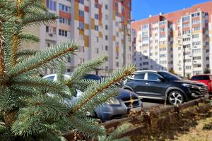 квартира за адресою Перемоги просп., 87