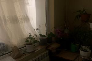 квартира по адресу Черноморск (Ильичевск), Парковая ул., 48