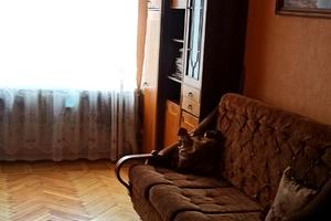 квартира по адресу Князя Владимира Великого просп., 79а