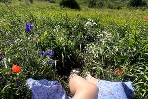 участок по адресу Лесі Українки, 5