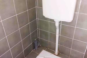 комерційна за адресою Миротворча вул. (Толстого), 12