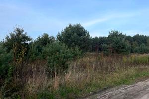 участок по адресу Паланки, 1