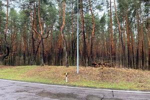 ділянка за адресою Берегова вул., 112