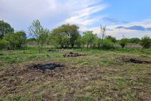 участок по адресу Коломыя, Довбуша