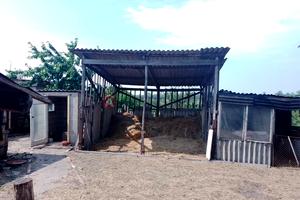 будинок за адресою Центральна