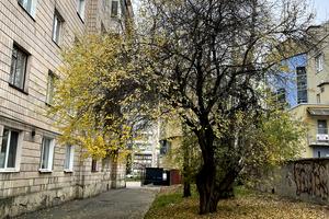 квартира по адресу Александра Борисенко ул. (Короленка), 3