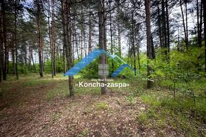 участок по адресу с. Плюты, 