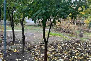 дом по адресу Звёздная ул., 7