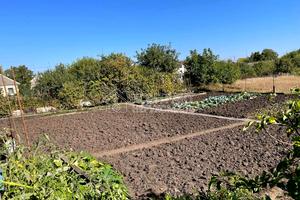 дом по адресу Затишнянская ул., 5