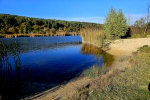 будинок за адресою Рута, 47