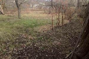 дом по адресу Зоряна вул., 79