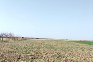 ділянка за адресою с. Лукашівка, Черняхівського