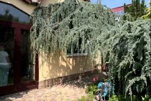 дом по адресу Одесса, Соляна ул.