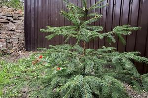 квартира по адресу Большая Панасовская ул. (Котлова), 66