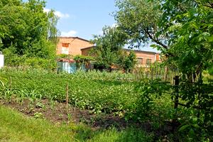 ділянка за адресою Білопільський Шлях вул.