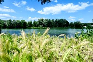 будинок за адресою Каштанова вул. (Тракторна)