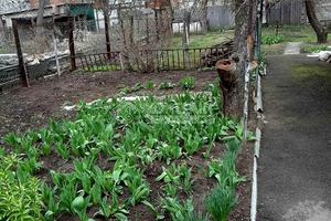 дом по адресу Армейская ул.