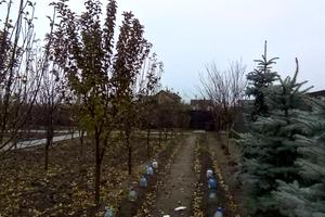 будинок за адресою Полева