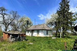 будинок за адресою с. Липівка, Довженка