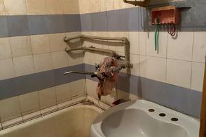 квартира за адресою Космонавтів вул., 5а
